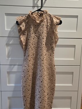 Zara Blush Pink Lace Midi Dress with High Neck